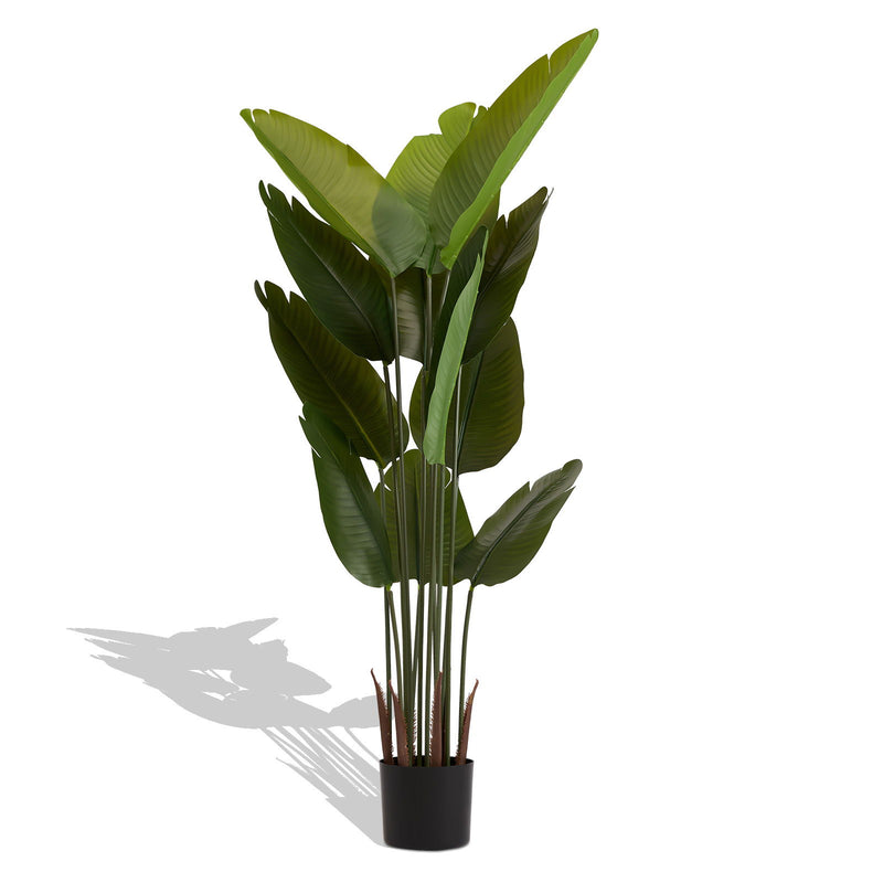 Artificial Plant For Indoor And Outdoor Decoration (Set of 2)
