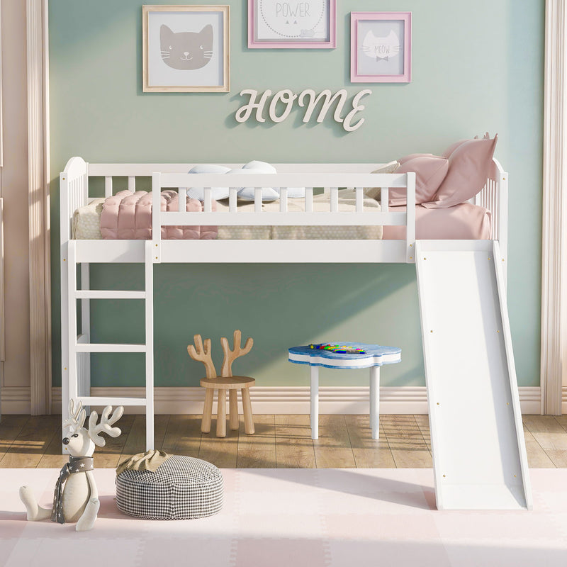 Loft Bed With Slide And Ladder