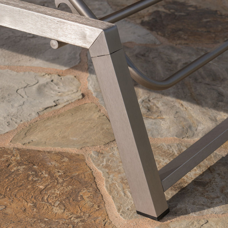 Myers - Modern Chaise Lounge Set With Adjustable Mesh Back